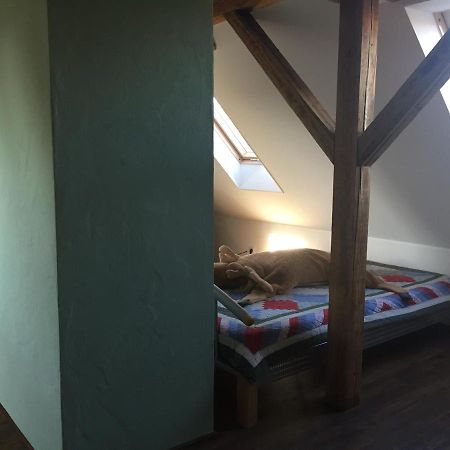 Ferienwohnung Schulze Freital Luaran gambar