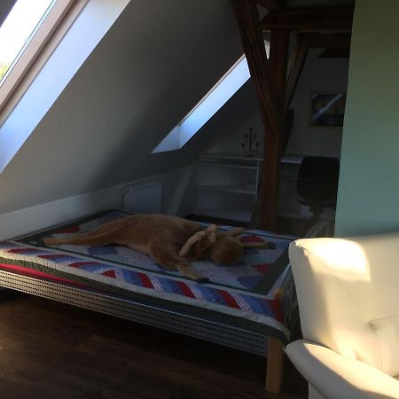 Ferienwohnung Schulze Freital Luaran gambar