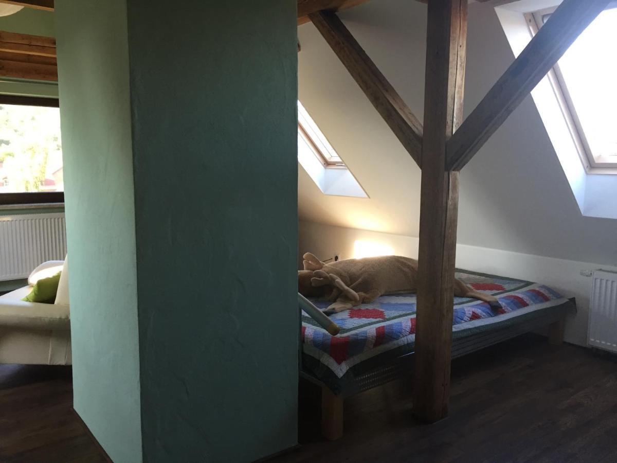 Ferienwohnung Schulze Freital Luaran gambar